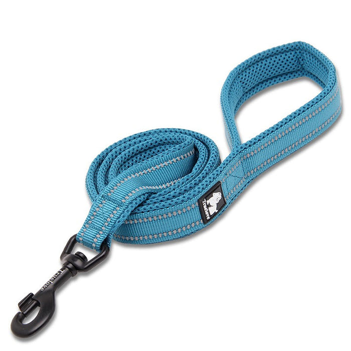 Truelove Pet Nylon Dog Lead With Handle Reflective Pet Leash 2 meters Blue S