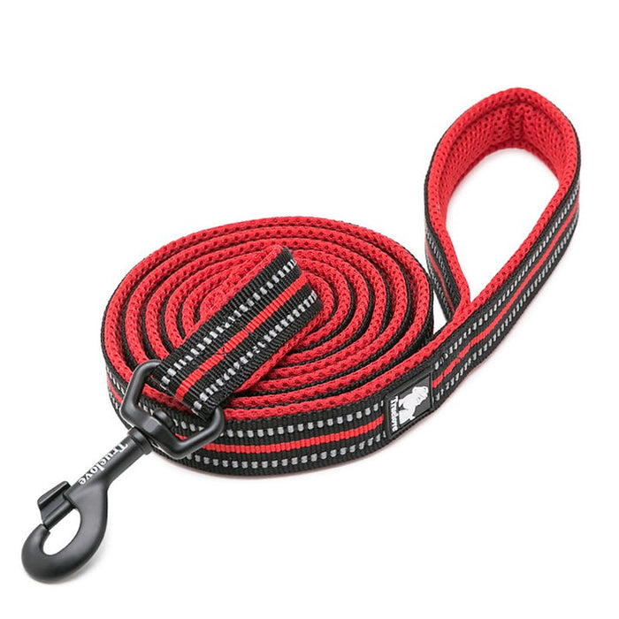Truelove Pet Nylon Dog Lead With Handle Reflective Pet Leash 2 meters Red L