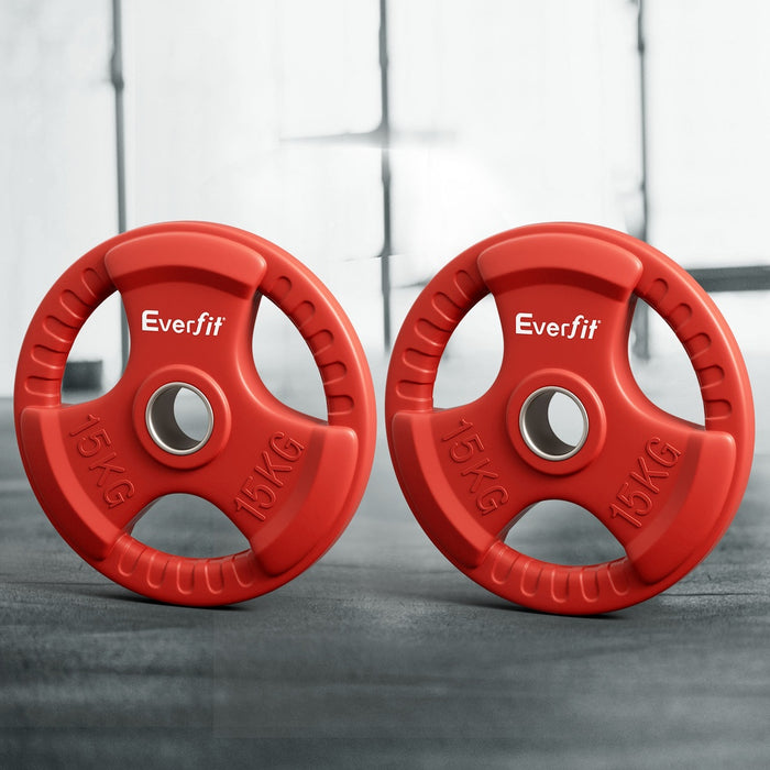 Everfit Weight Plates Olympic 15kgx2 Dumbbell Barbell Plate Weight Lifting Home Gym Red