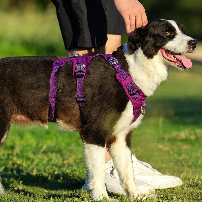 Truelove Escape Proof Dog Waterproof Adjustable  Whinhyepet Harness Black XS