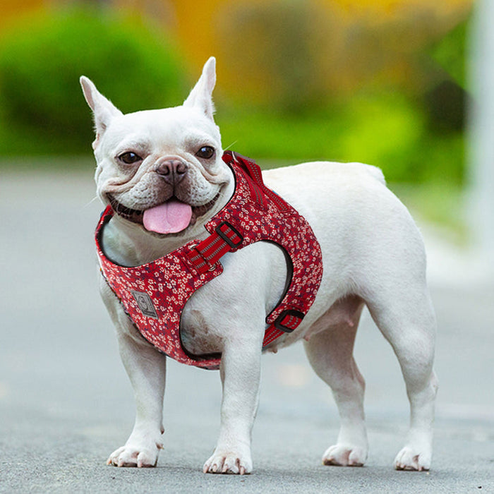 Truelove No-Pull Dog Sleek Sports  Puppy Floral Doggy Harness Red M
