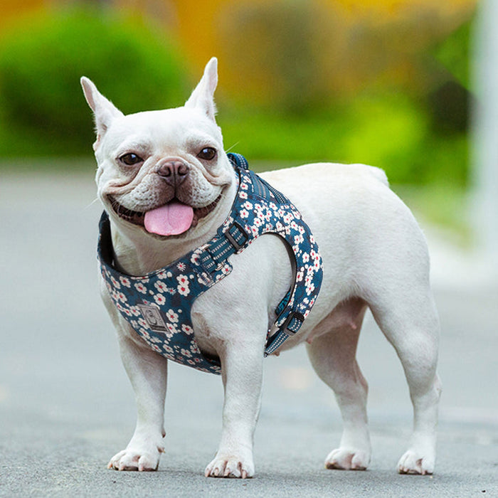 Truelove No-Pull Dog Sleek Sports  Puppy Floral Doggy Harness Saxony Blue S