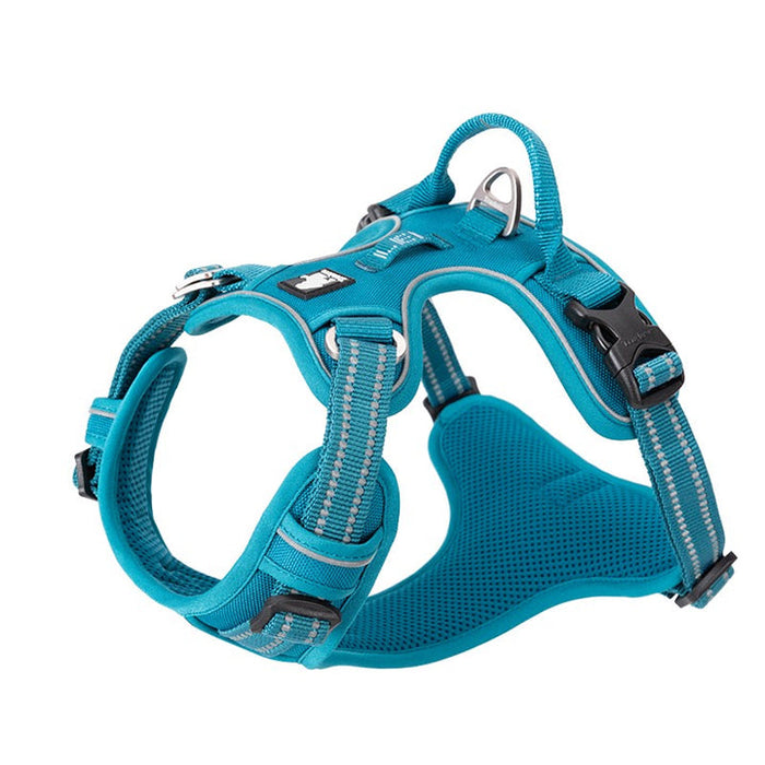 Truelove Adventurer Dog Doggie Adjustable No Pull Harness Blue XS