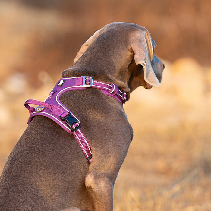 Truelove Adventurer Dog Doggie Adjustable No Pull Harness Purple XL
