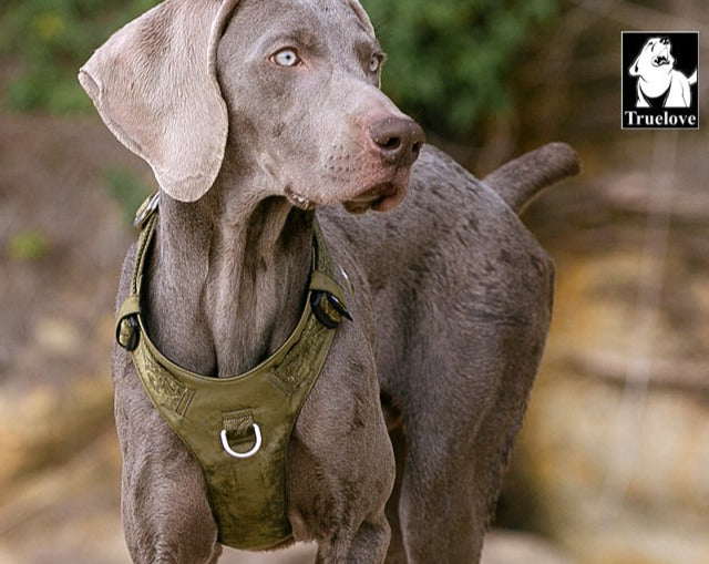 Truelove No-Pull Dog Sleek Sports  Puppy Lightweight Harness Army Green 2XS