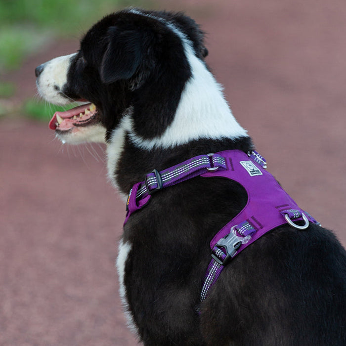 Truelove No-Pull Dog Sleek Sports  Puppy Lightweight 3M reflective Harness Purple XL
