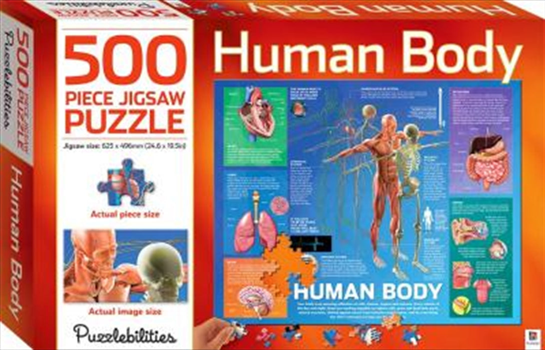 Human Body 500 Piece Jigsaw Puzzle Jigsaw Puzzle Kids Fun Adult Toy Gift 500pc