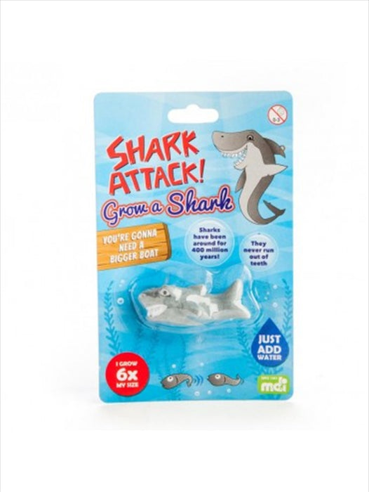 Grow A Shark  Novelty Childrens Novelty Gift Toy Just Add Water Kids Fun